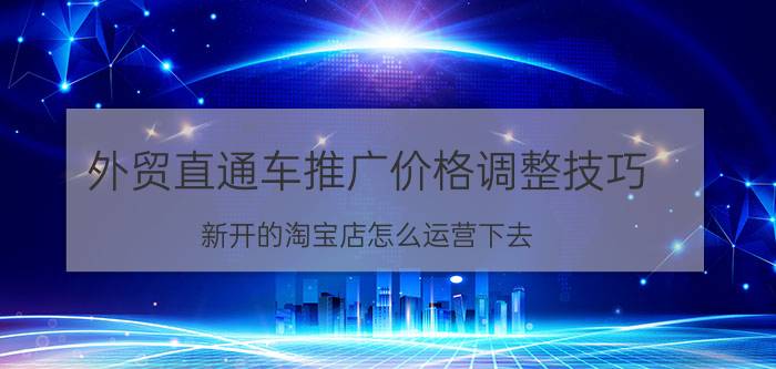 外贸直通车推广价格调整技巧 新开的淘宝店怎么运营下去？